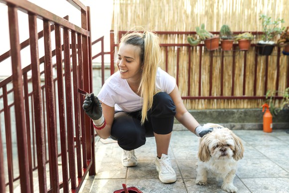 A young woman painting her porch fence as a spring home improvement project, with a small dog nearby.