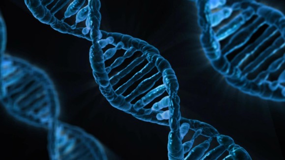 Three strands of DNA with image colored in blue.