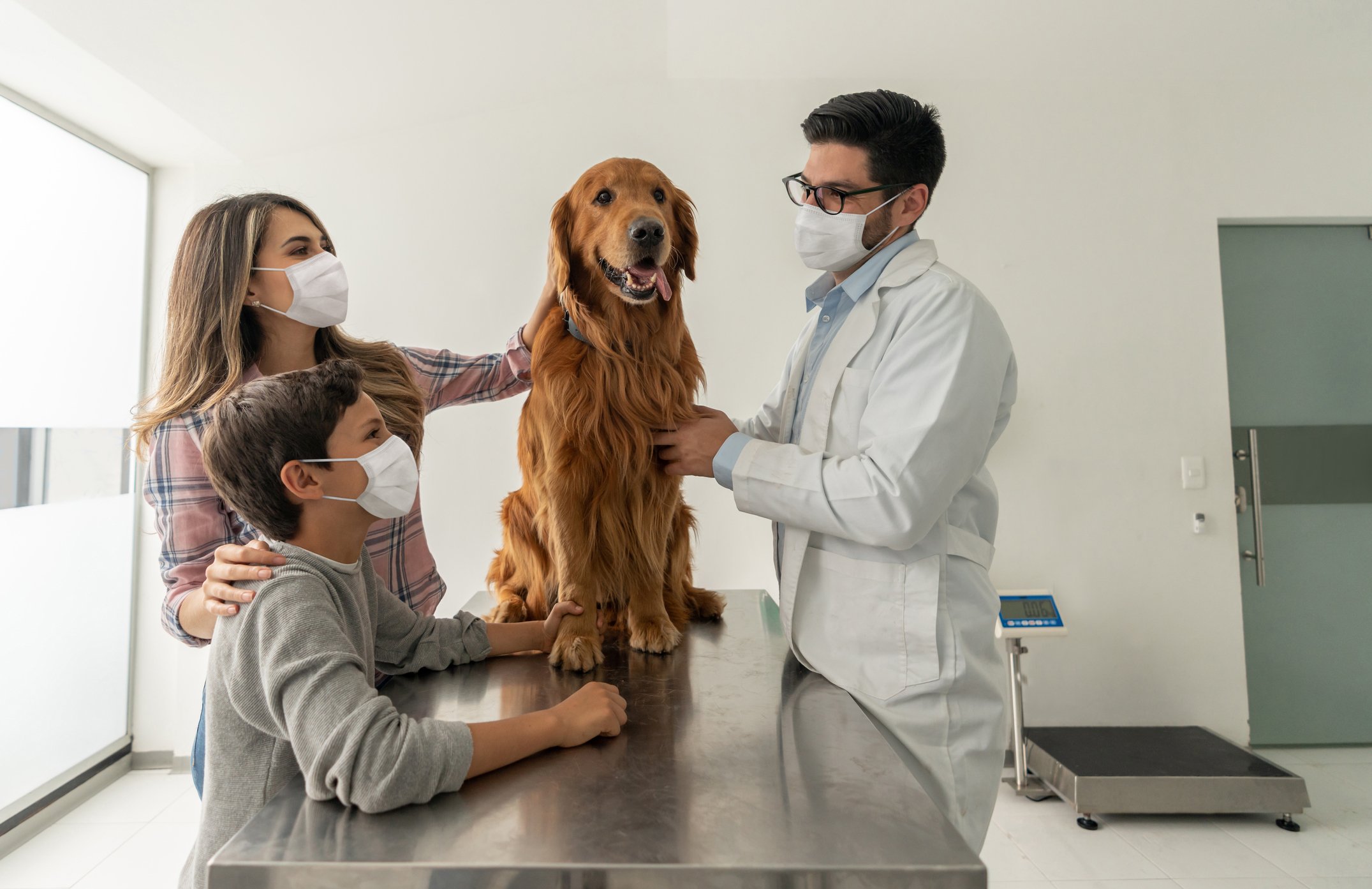 Dog sitting on an examination table with woman and young boy wearing masks one one side and a veterinarian wearing a mask on the other side