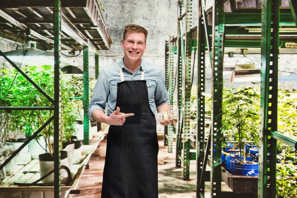 A cannabis farmer smiles and gestures to a wad of cash in his hand while standing in between rows of his cannabis plants.