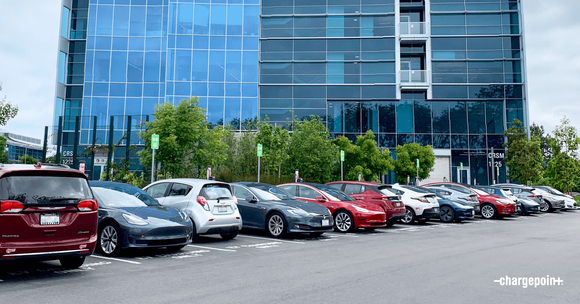 Many EVs charging in front of an office building