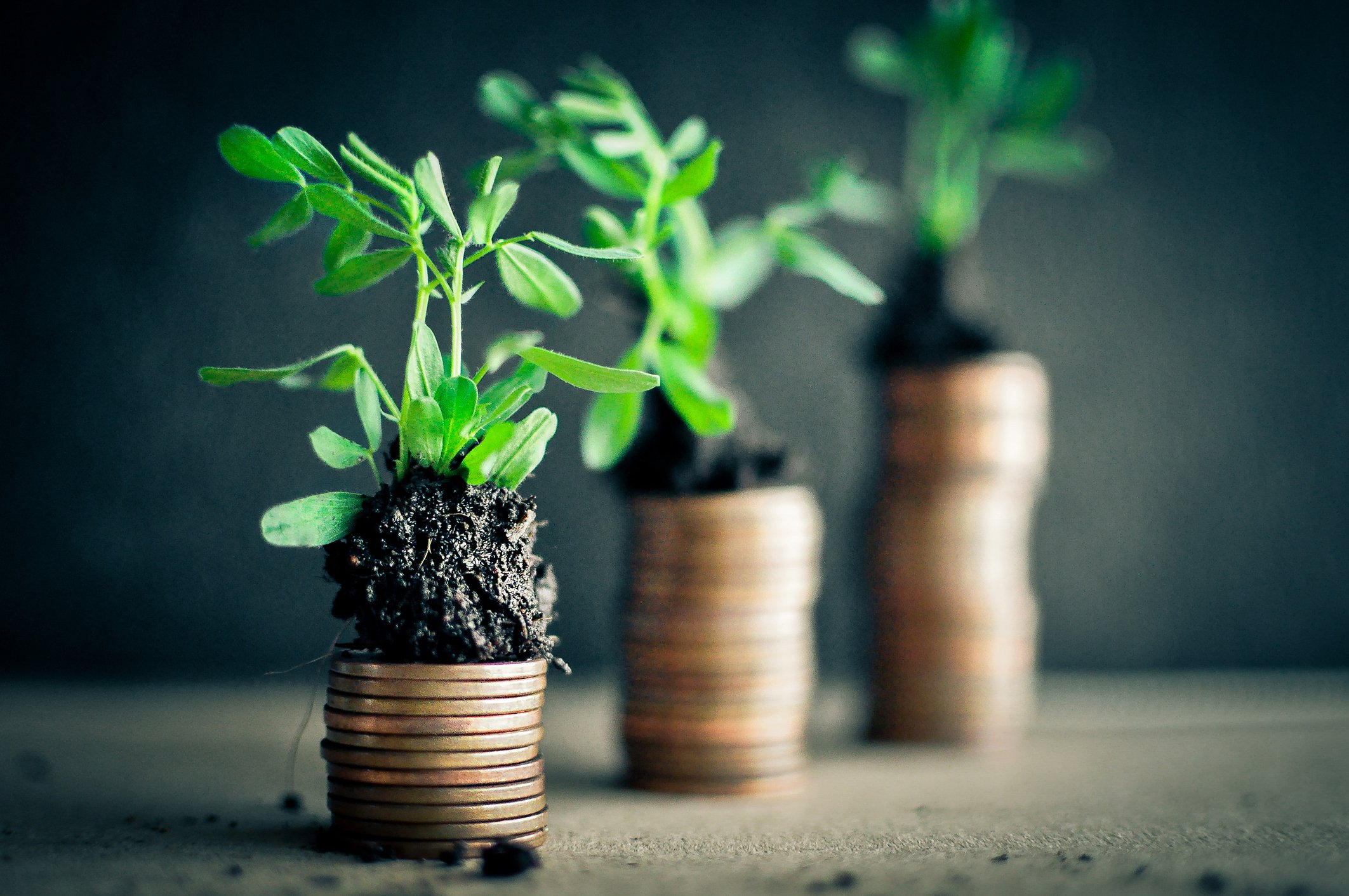 Plants sprouting from small piles of soil placed atop ascending stacks of coins. 