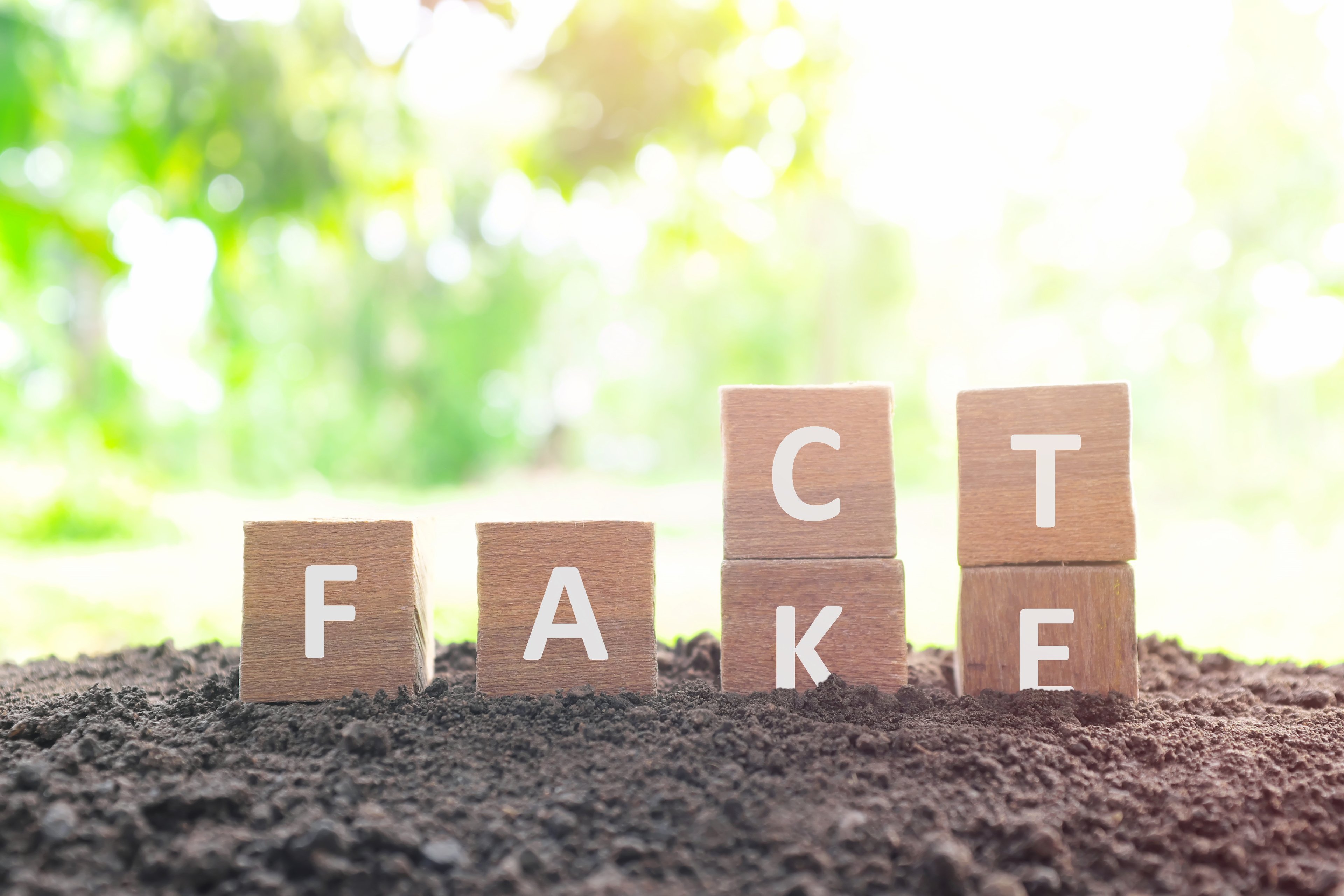 Wooden blocks spell "fact" and "fake."