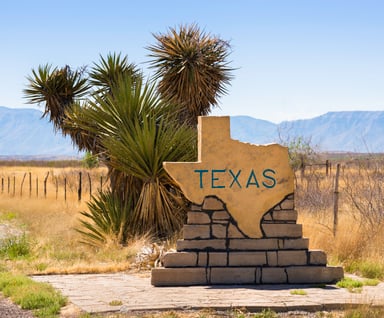 Texas Yucca Welcome