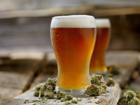 marijuana buds with glasses of beer