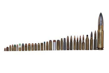 Long row of ammunition of various calibers