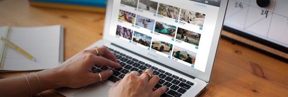 Twitter's Media Studio for content creators.