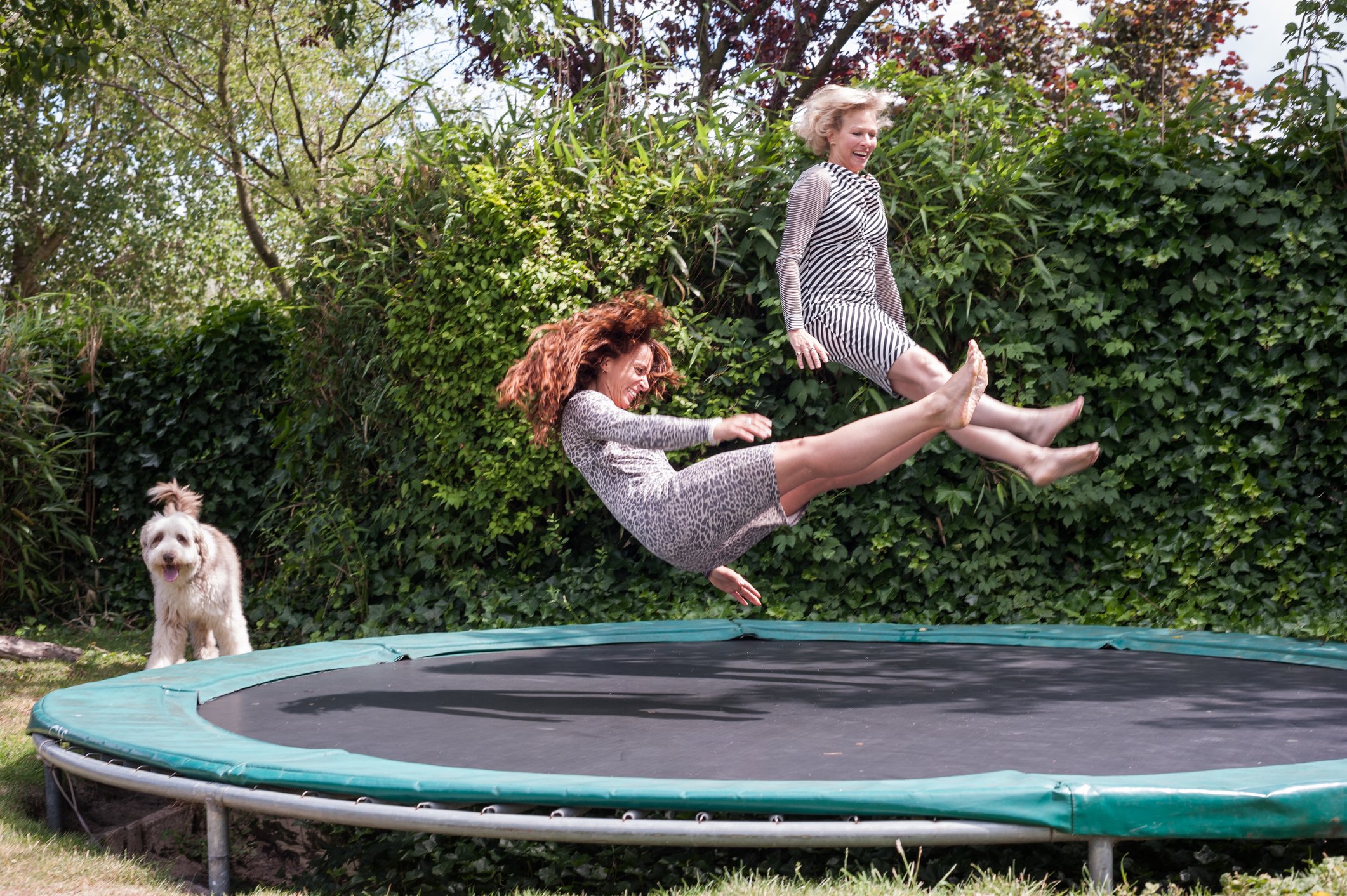 Two women jumping on a trampoline with a dog in the background.