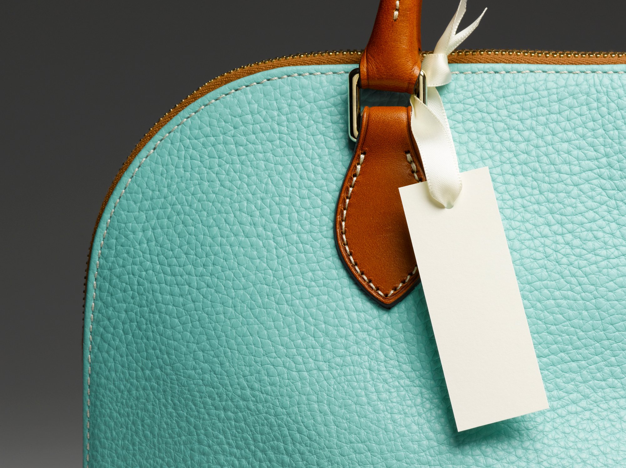 A luxury handbag in pale green leather.