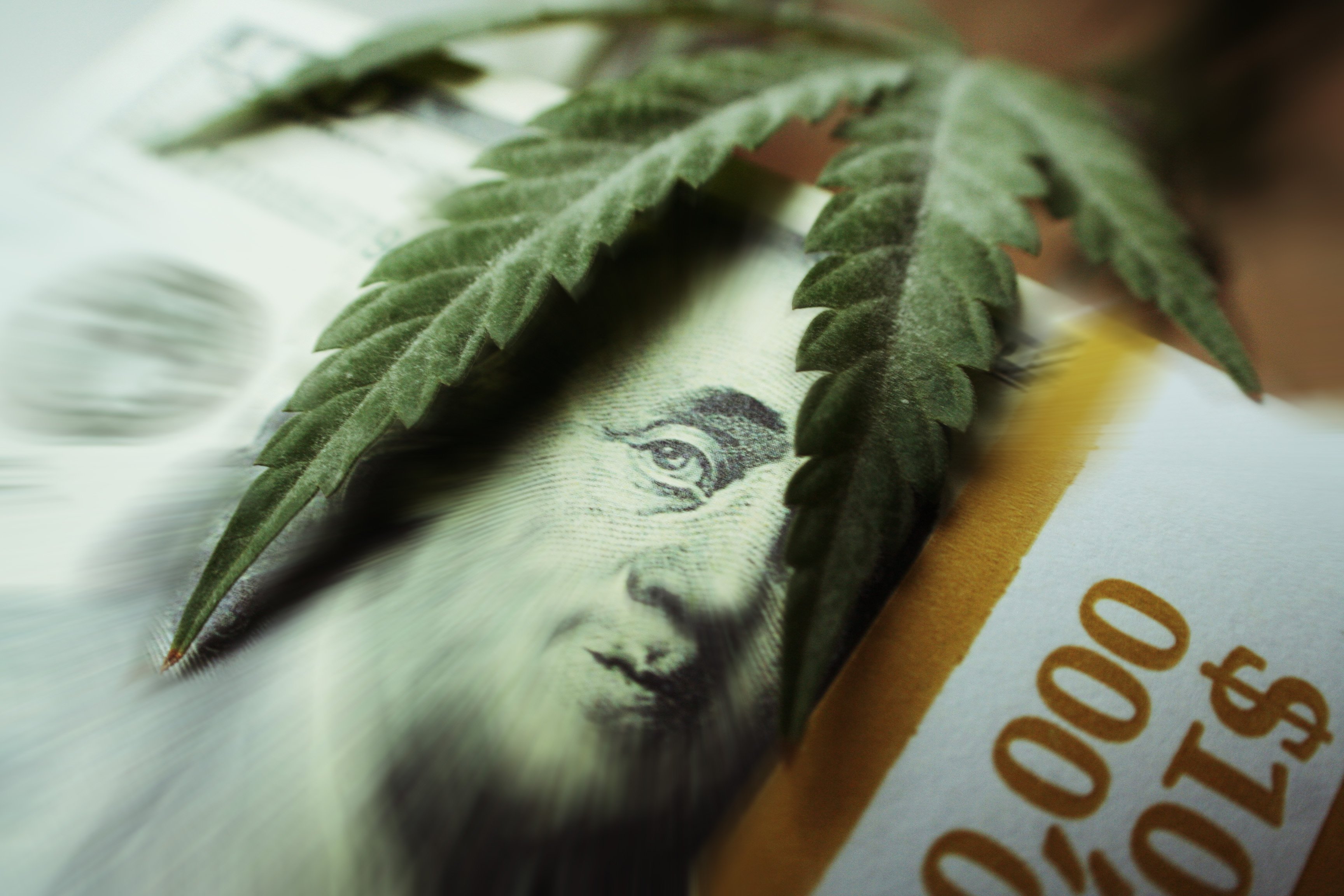 Cannabis leaf on a dollar bill.