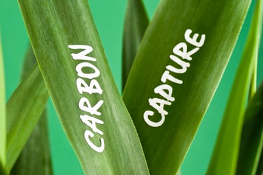carboncapture