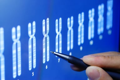 Chromosomes