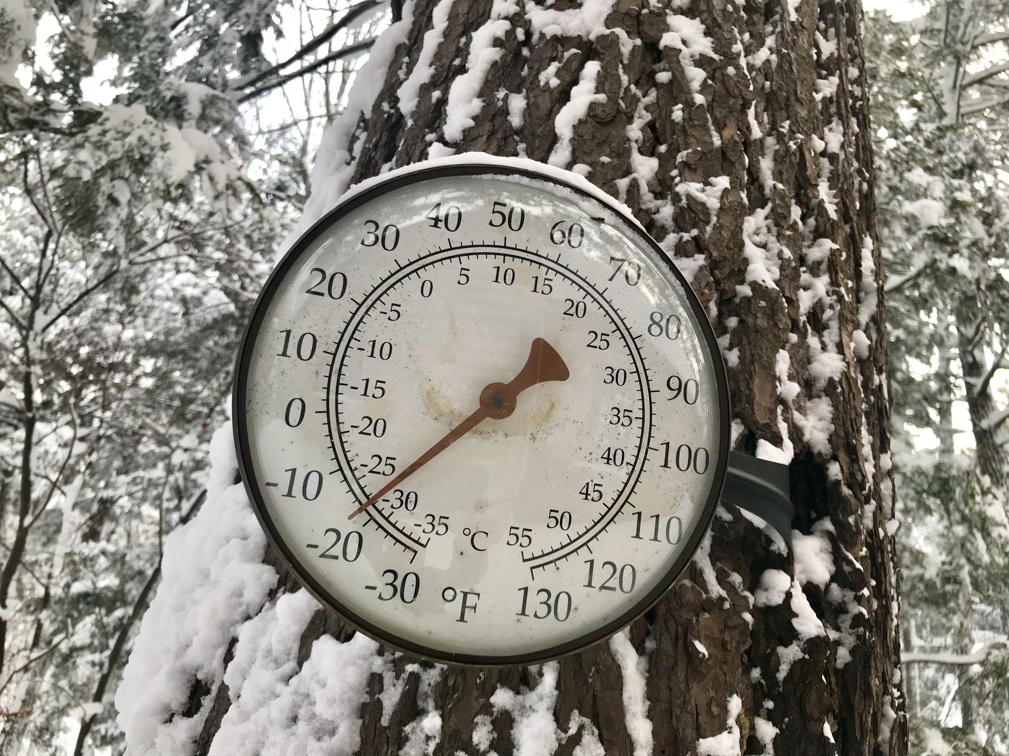 A round dial-style thermometer mounted on a snowy tree trunk, showing a temperature of almost -20 F in Upper Michigan.