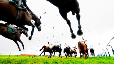 getty-horse-race