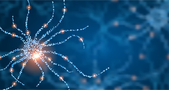 Illuminated strands of neurons against a dark blue background.