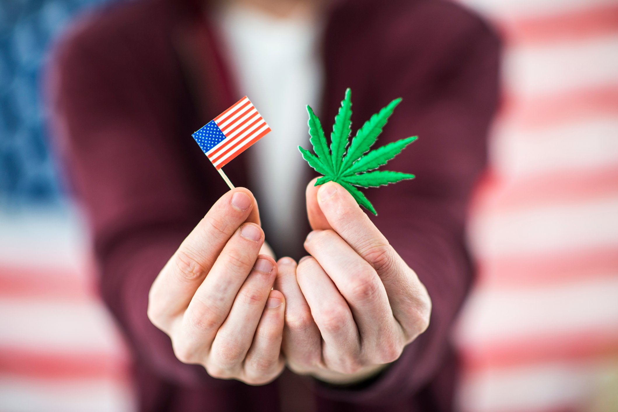 A man holding a marijuana leaf and a small American flag.
