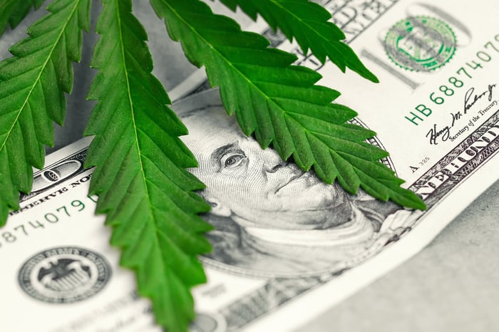 Marijuana leaf atop a 100 dollar bill.