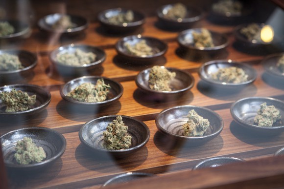 Cannabis buds in small dishes behind glass. 