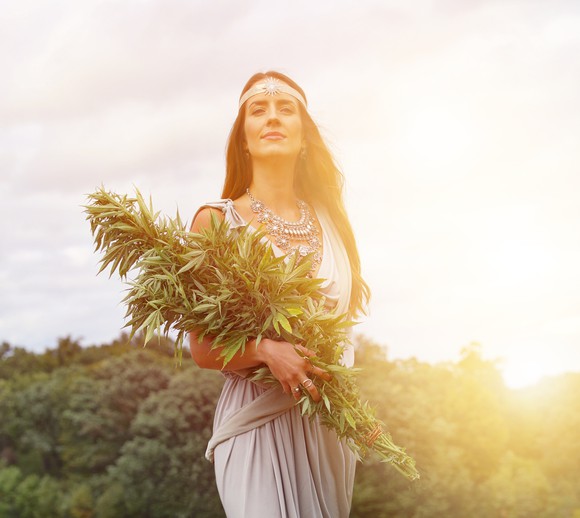 Beautiful woman holds a huge cannabis plant in her arms before a setting sun. 