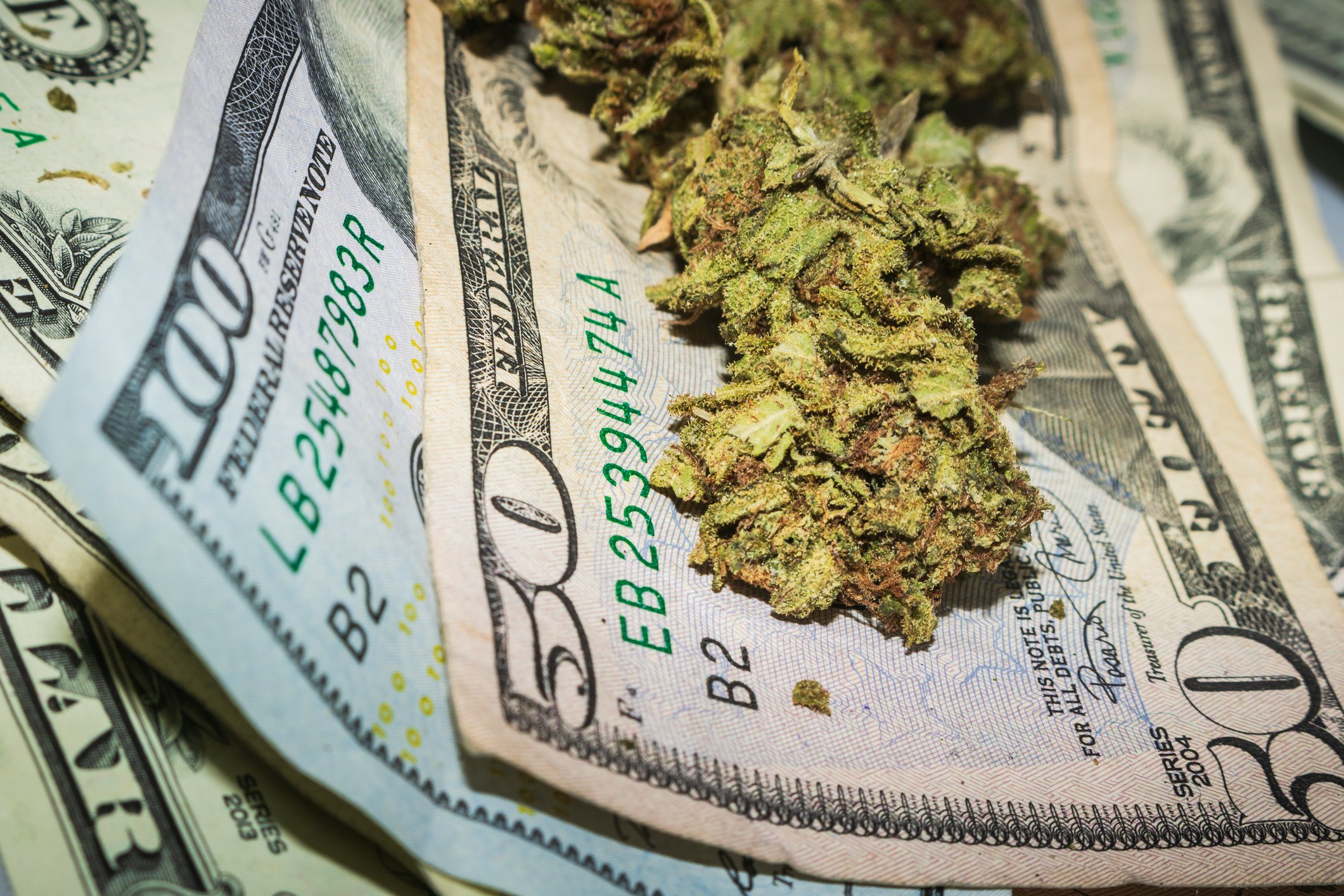 Ground up cannabis flower rests on a bed of $50 and $100 bills.