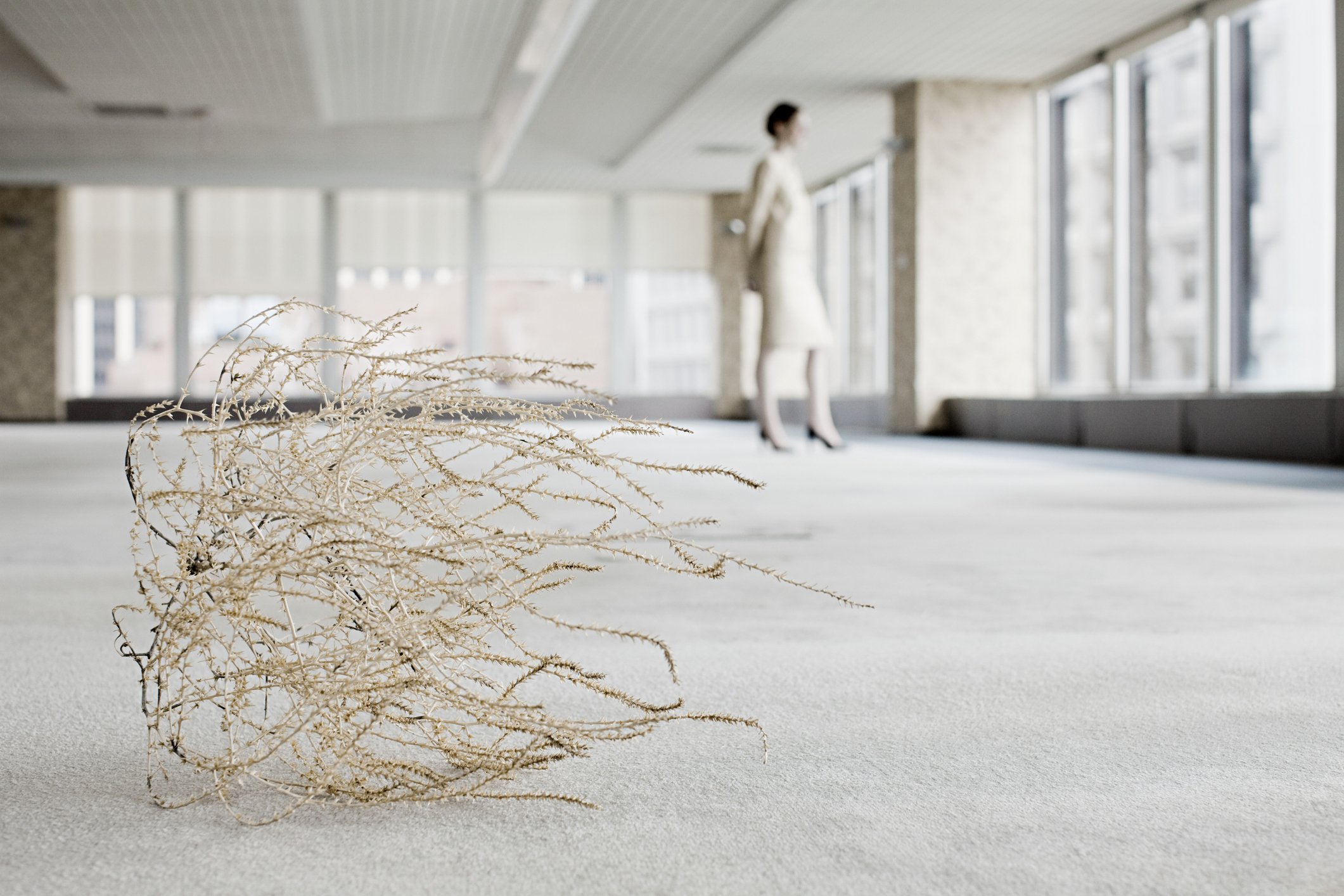 Tumbleweed in an office building with just one person there.