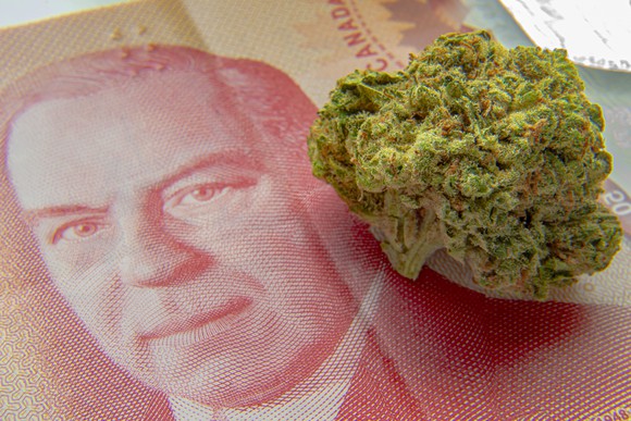 Marijuana flower on Canadian currency.