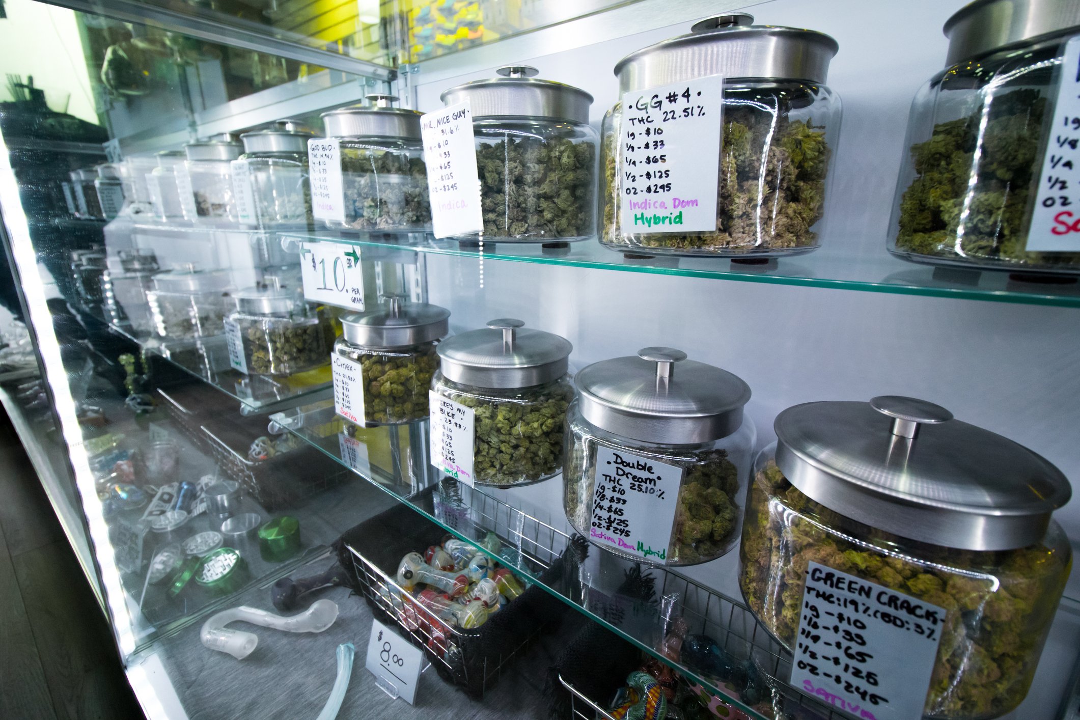 jars of marijuana flower buds on shelves in a dispensary