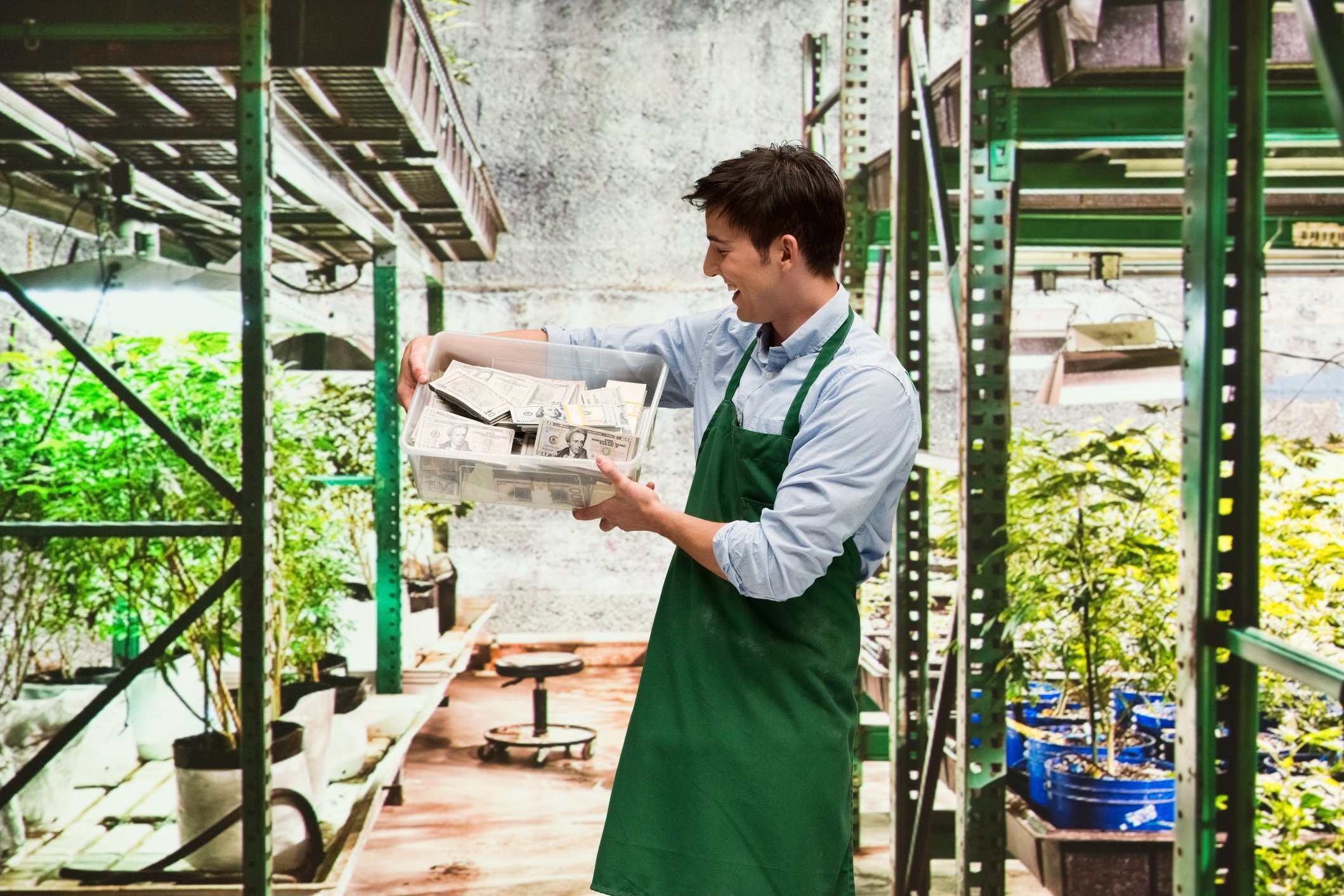 Smiling cannabis worker holding bucket of money in a greenhouse