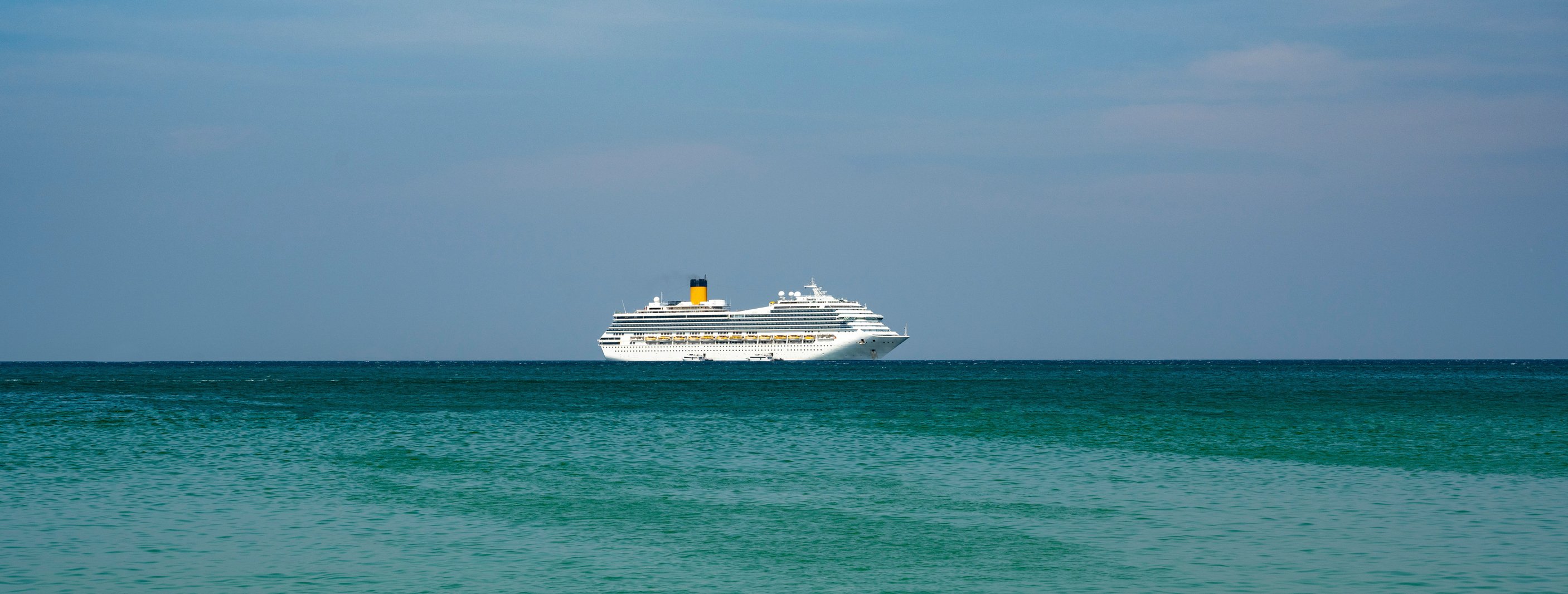 A cruise ship on the ocean horizon.