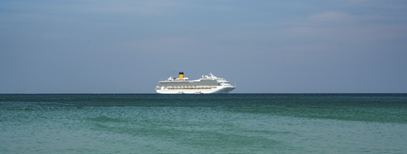 A cruise ship on the ocean horizon.