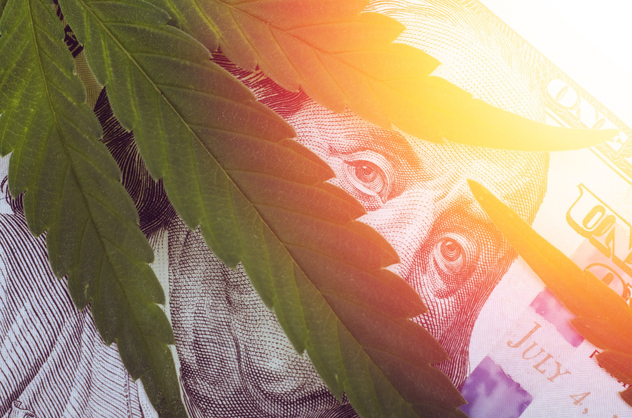 Benjamin Franklin on a hundred dollar bill peers through gaps of a cannabis leaf. 