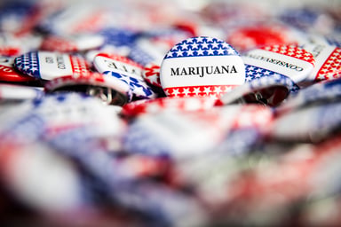 cannabis marijuana legalization