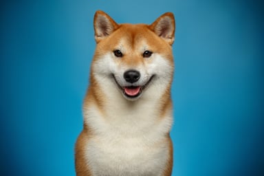 Dogecoin 2