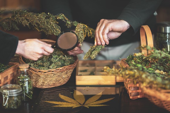 Two hands inspect marijuana buds in baskets on a table in a dispensary with a magnifying glass. 
