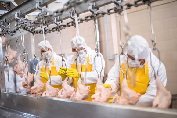 Three workers in protective gear working at a poultry processing plant.