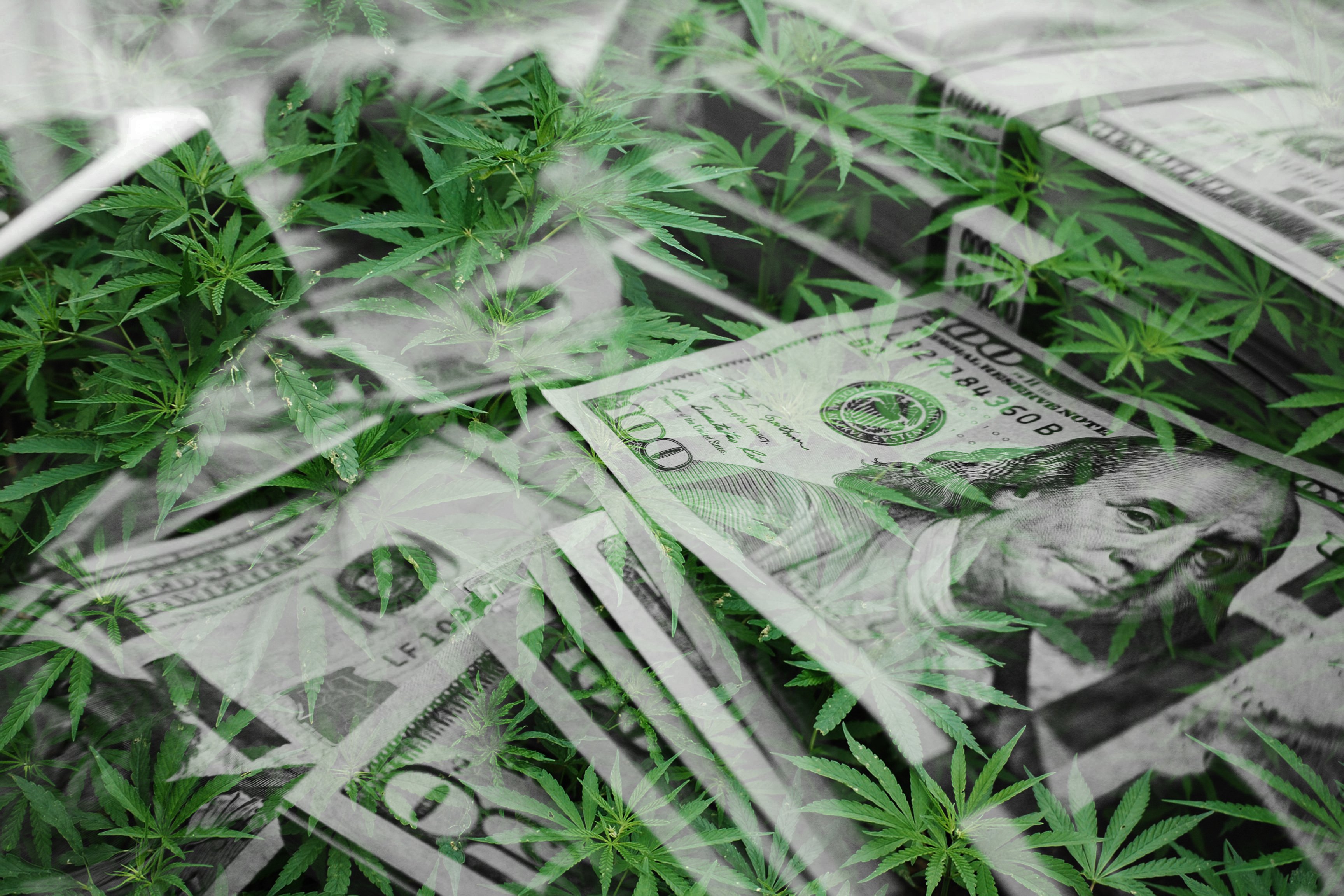 Stack of cash with marijuana leaves.