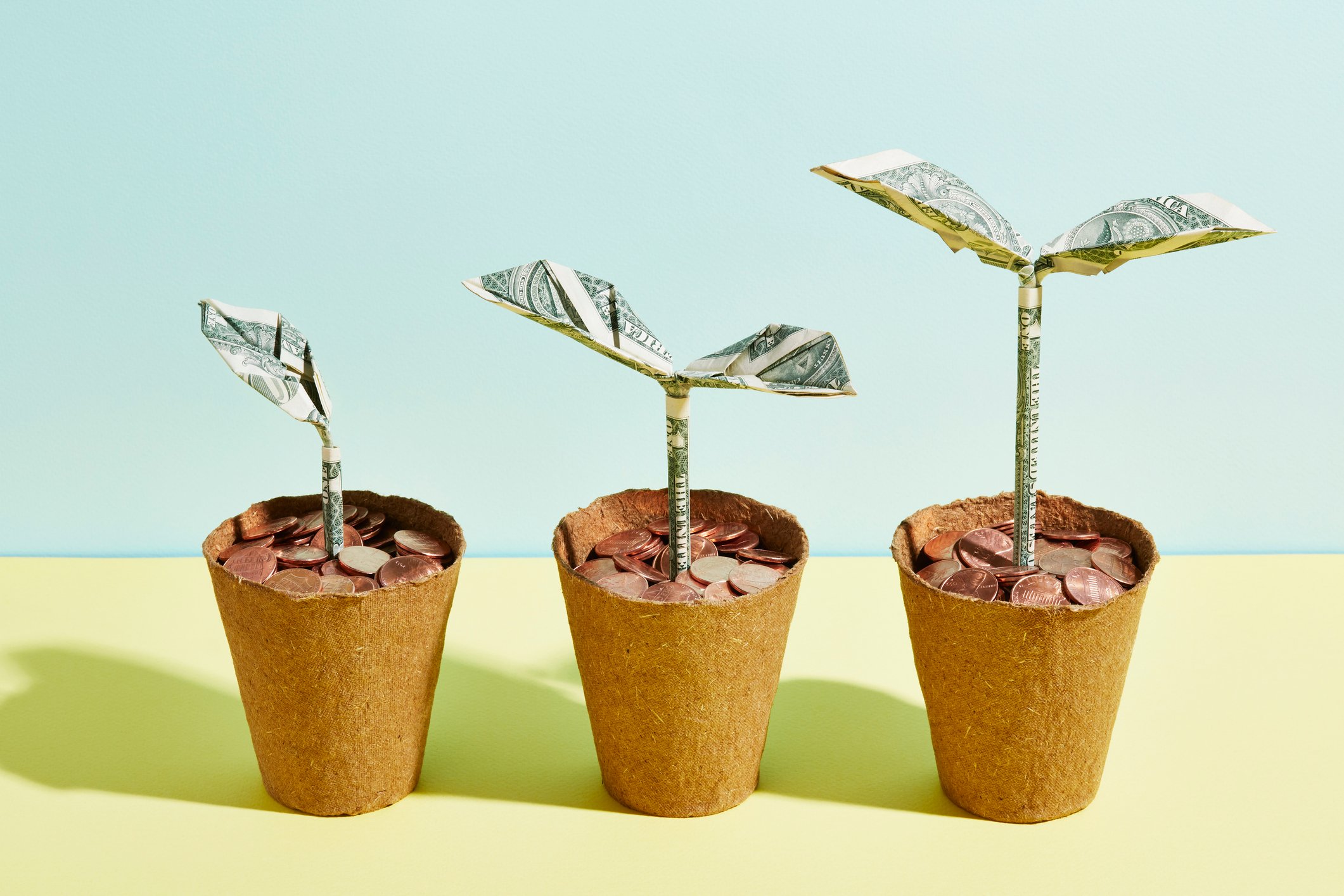 3 flower pots with pennies growing into dollars