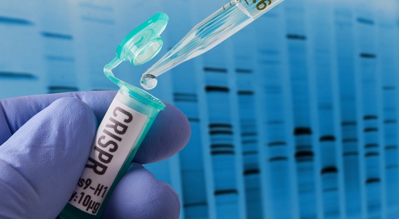 A gloved hand holding a small container labeled CRISPR as someone puts a drop of liquid inside.