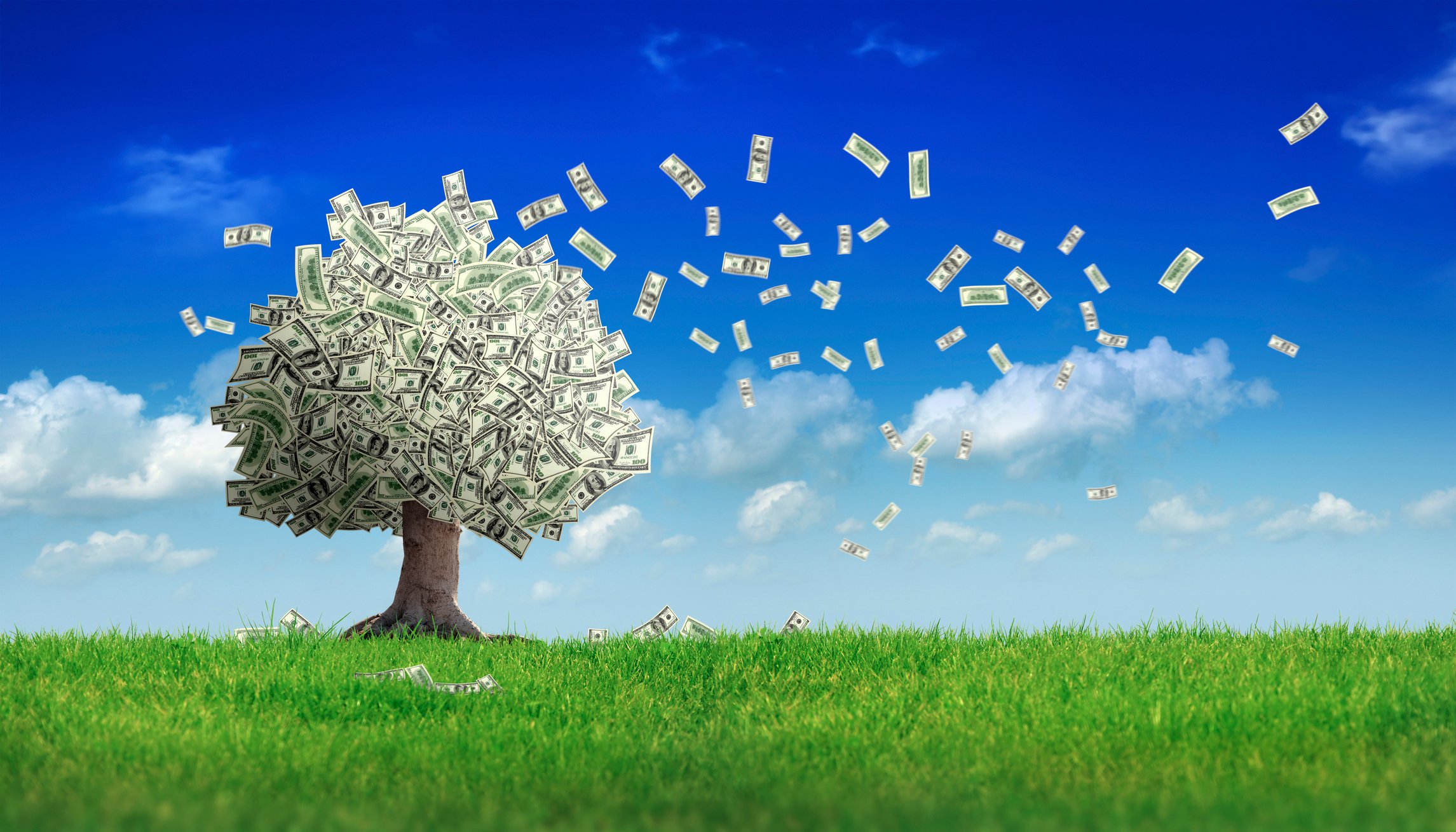 Cash flying off a tree with bills for leaves in a field