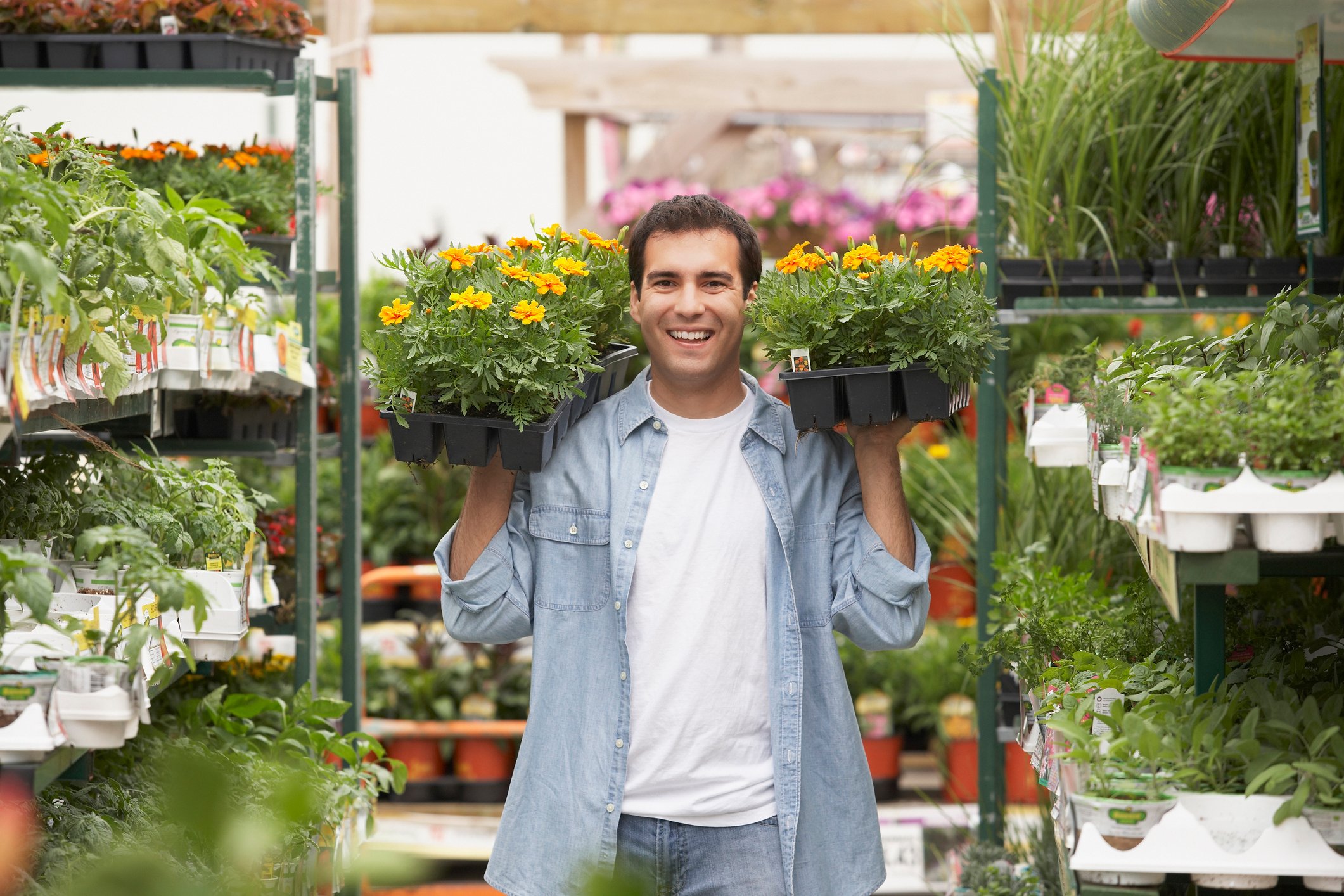 A person carries two trays of flowers inside of a greenhouse with many other plants.