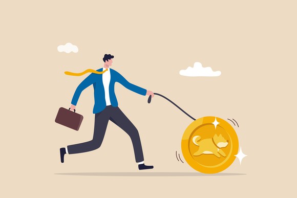 Man walking a shibu ina coin