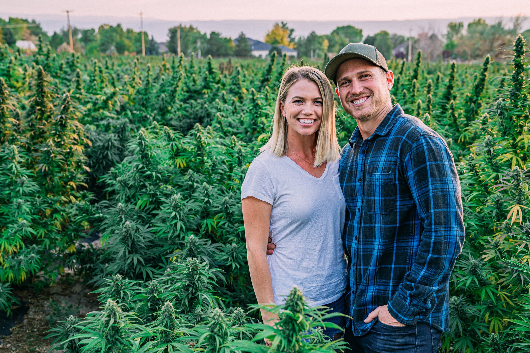 A smiling couple in a field of cannabis. 
