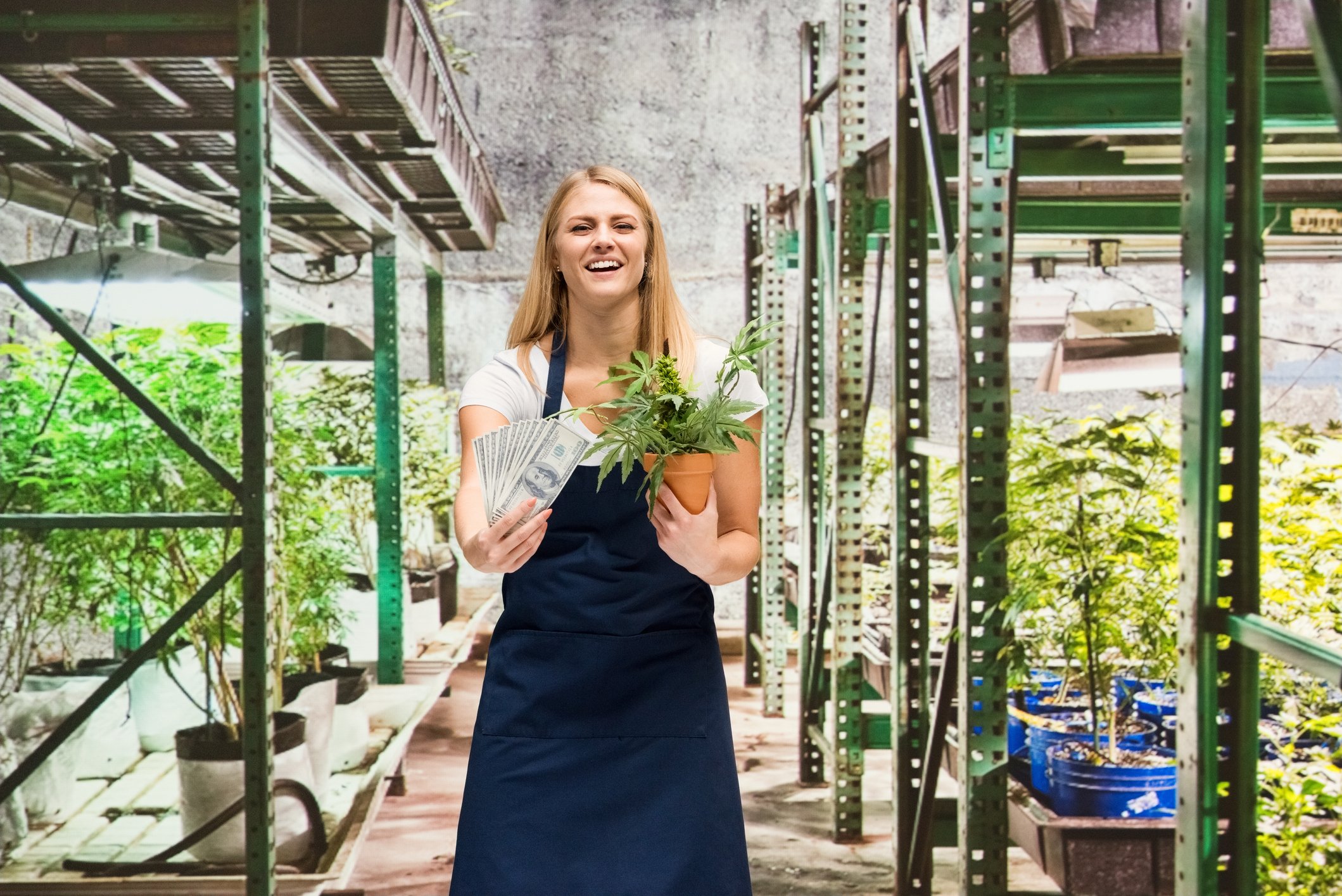 A smiling cannabis famer holds a potted cannabis plant in her arm and a wad of $100 bills in her hand as she stands in an indoor cannabis farm.