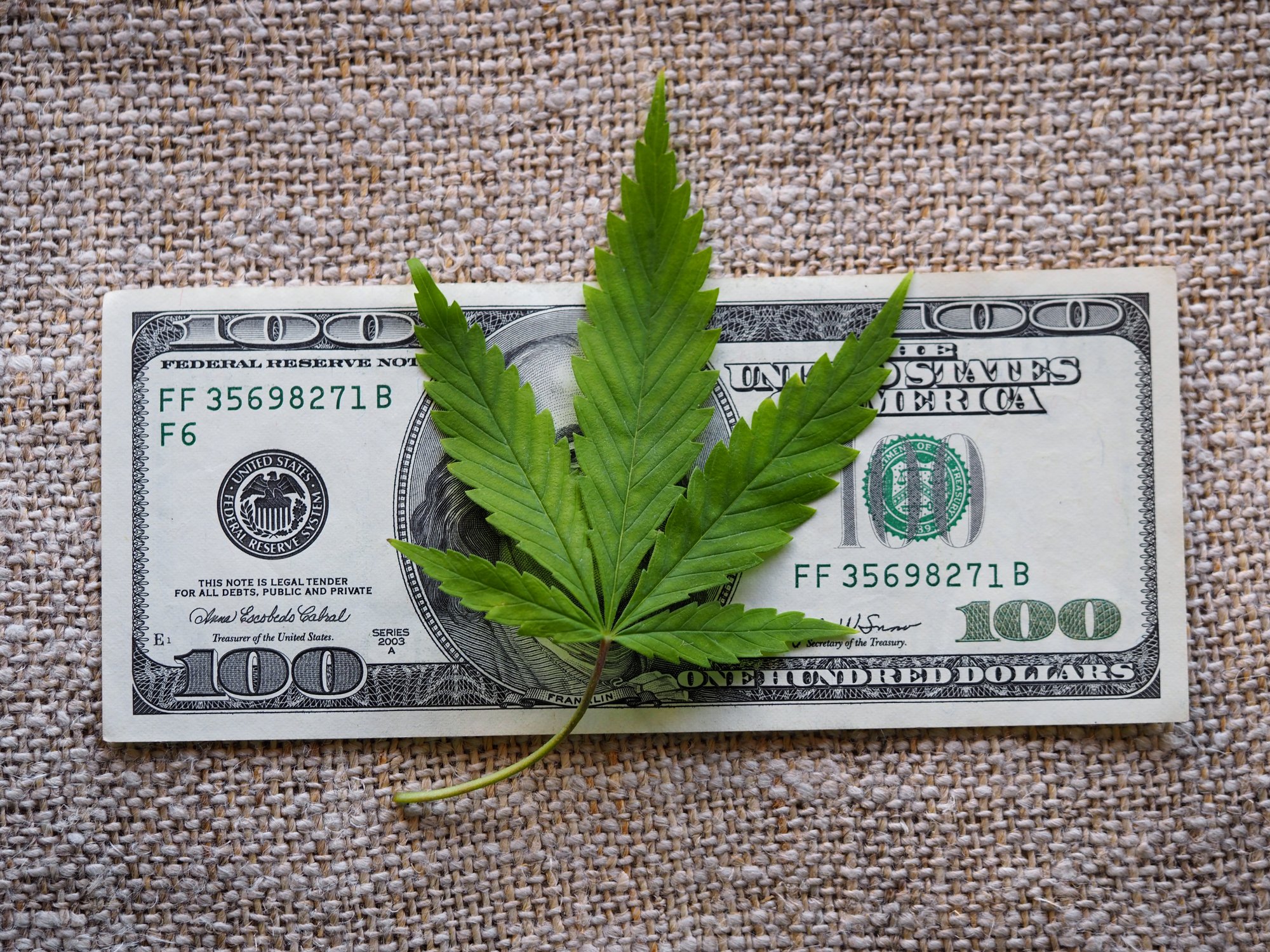 A marijuana leaf on a dollar bill.