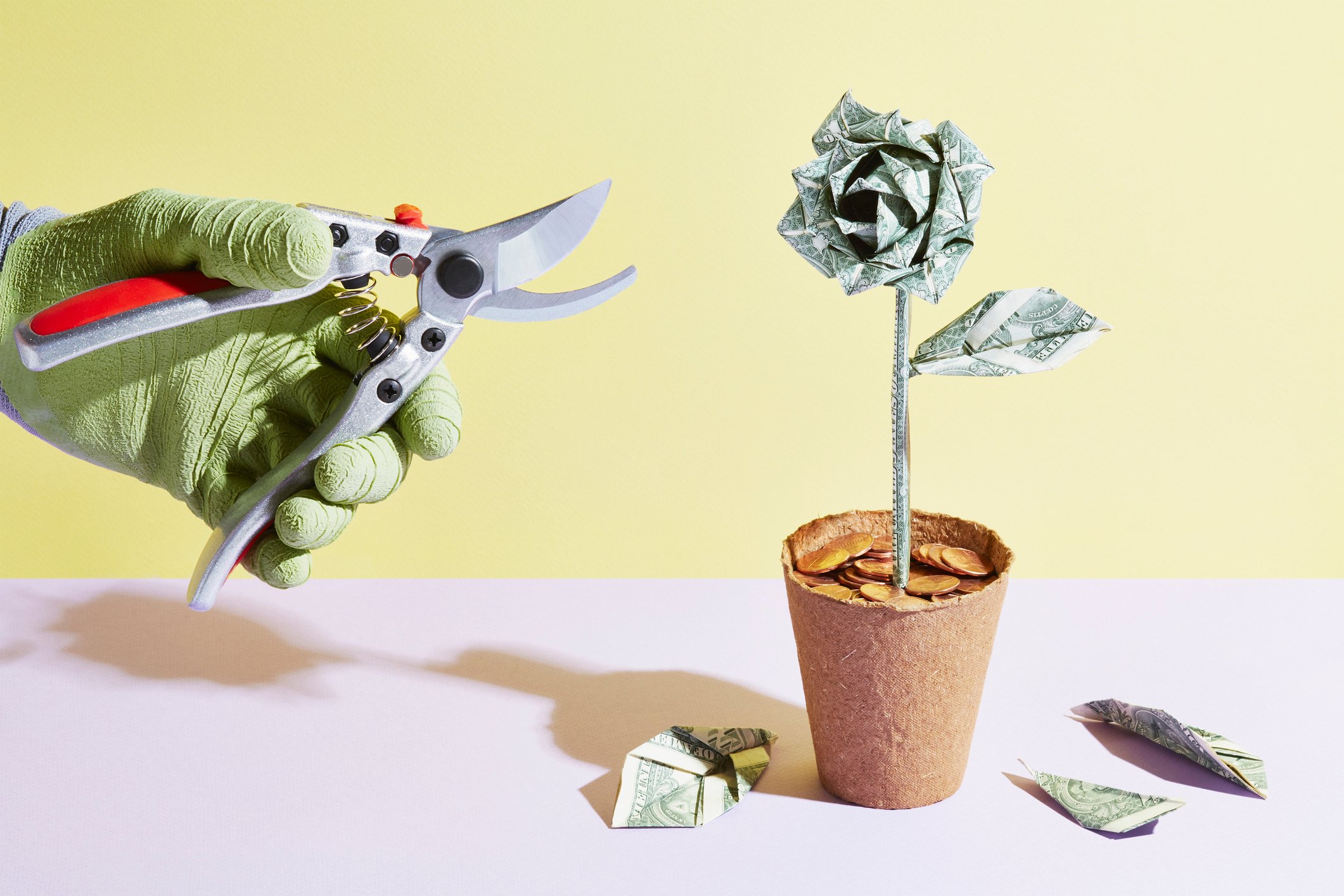 A person prunes an origami flower made of cash.
