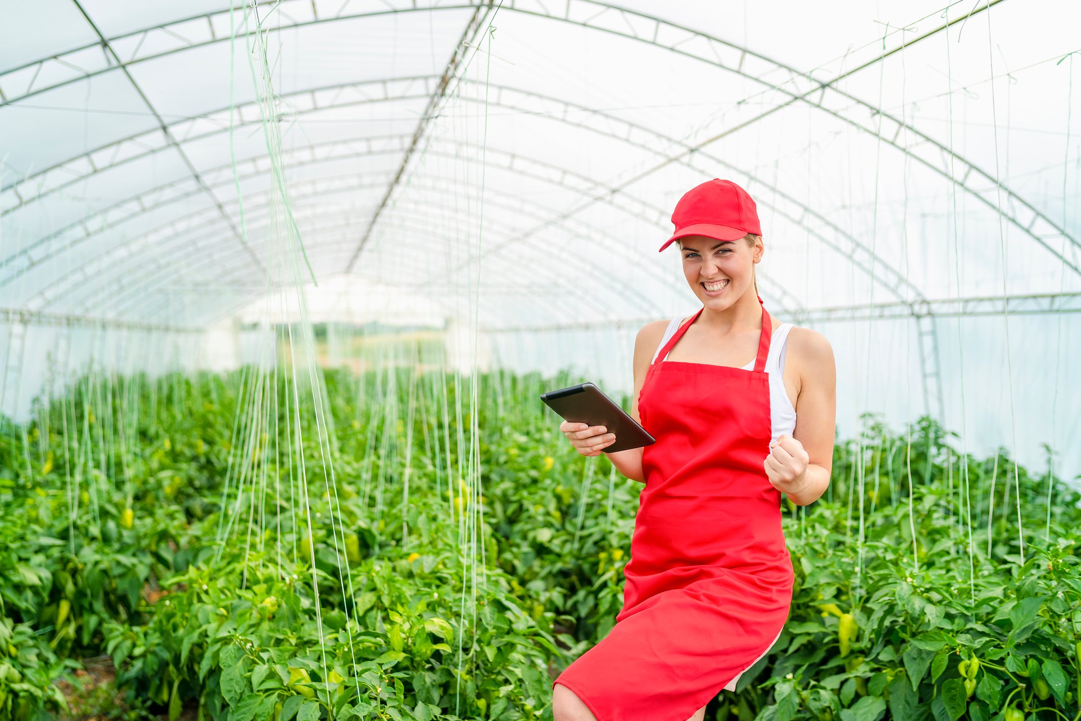 A greenhouse worker smiles while holding a tablet.
