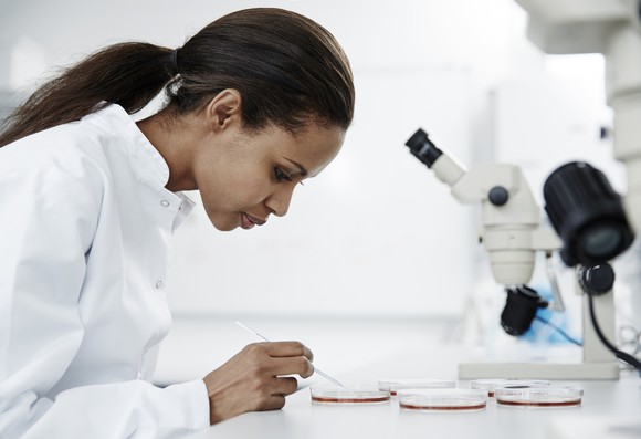 A scientist examines petri dishes in the laboratory while sitting in front of a microscope.