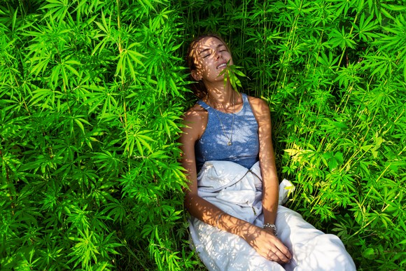 A young woman lays down in a field of marijuana plants.