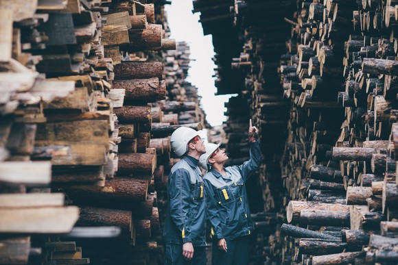 Two workers inspecting lumber.
