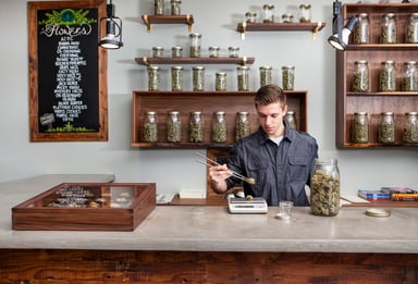 cannabis worker weighs cannabis in a store